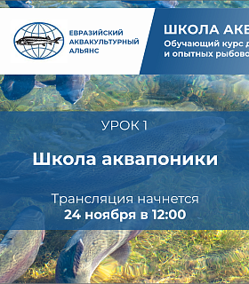 Школа аквафермера — новый сезон: уже 24 ноября запускается цикл онлайн вебинаров для рыбоводов!